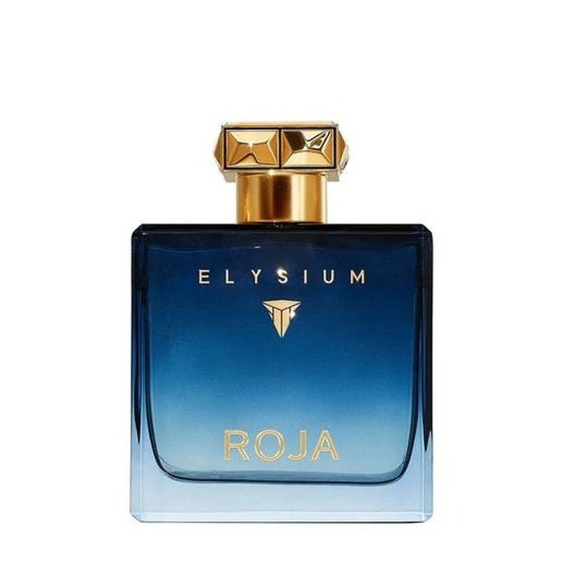 Roja Elysium Pour Homme 100ML perfume bottle – luxury fragrance | Perfury UAE
